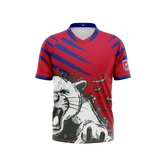 Cassadaga Valley Central Schools Jersey