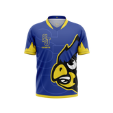 Delphos St Johns Jersey