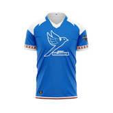 Dreamhack Team Oklahoma | Jersey