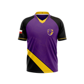 Hardin Simmons Esports Jersey