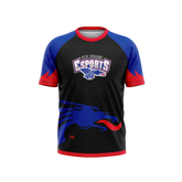 Hutchinson Esports | Phantom Series | Raglan T-Shirt Alt