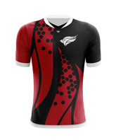 North Central College Alternate Jersey