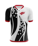North Central College Jersey
