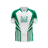 Northwestern Michigan Esports Jersey