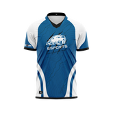Pratt Community College | 2025 Jersey Alt