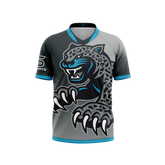 Seckinger High School | Alt Jersey