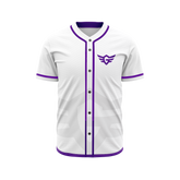 Baseball Jersey Team Design - Netz