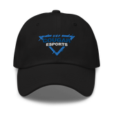 USF Cougar Esports | Street Gear | Embroidered Dad hat