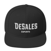 Desales Esports | Street Gear | Embroidered Snapback Hat