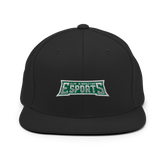 Illinois Wesleyan Esports | Street Gear | Embroidered Snapback Hat