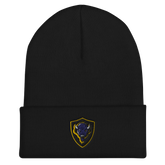 Buffalo HS | On Demand | Embroidered Cuffed Beanie