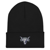 Lehi High School Wholesale | On Demand | Embroidered Cuffed Beanie