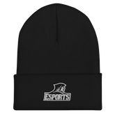 Friars Esports | On Demand | Embroidered Cuffed Beanie