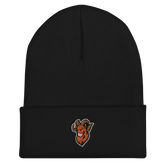 Upper Sandusky | On Demand | Embroidered Cuffed Beanie