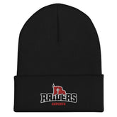 Northwestern College | On Demand | Embroidered Cuffed Beanie