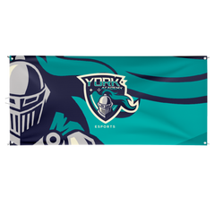 York Academy Flag