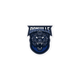 Danville Schools | On Demand | Bubble-free stickers