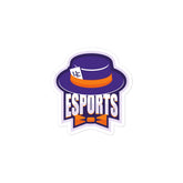 University of Evansville Bubble-free stickers