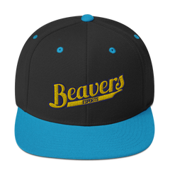 BVU Esports | Street Gear | Embroidered Snapback Hat