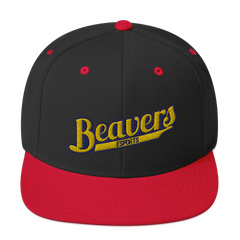 BVU Esports | Street Gear | Embroidered Snapback Hat