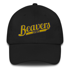 BVU Esports | Street Gear | Embroidered Dad Hat