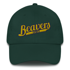 BVU Esports | Street Gear | Embroidered Dad Hat