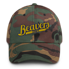 BVU Esports | Street Gear | Embroidered Dad Hat