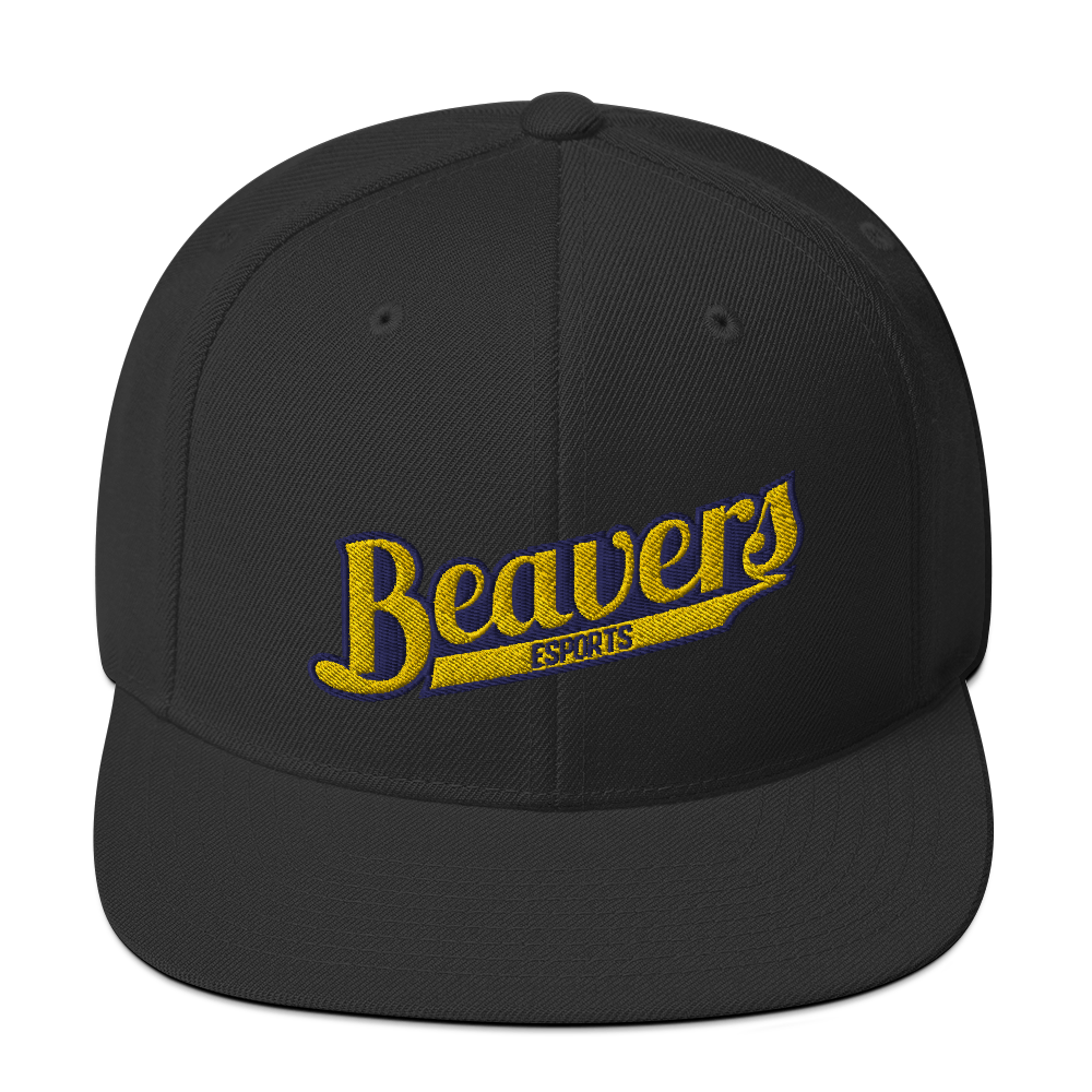 BVU Esports | Street Gear | Embroidered Snapback Hat