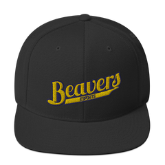 BVU Esports | Street Gear | Embroidered Snapback Hat