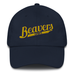 BVU Esports | Street Gear | Embroidered Dad Hat