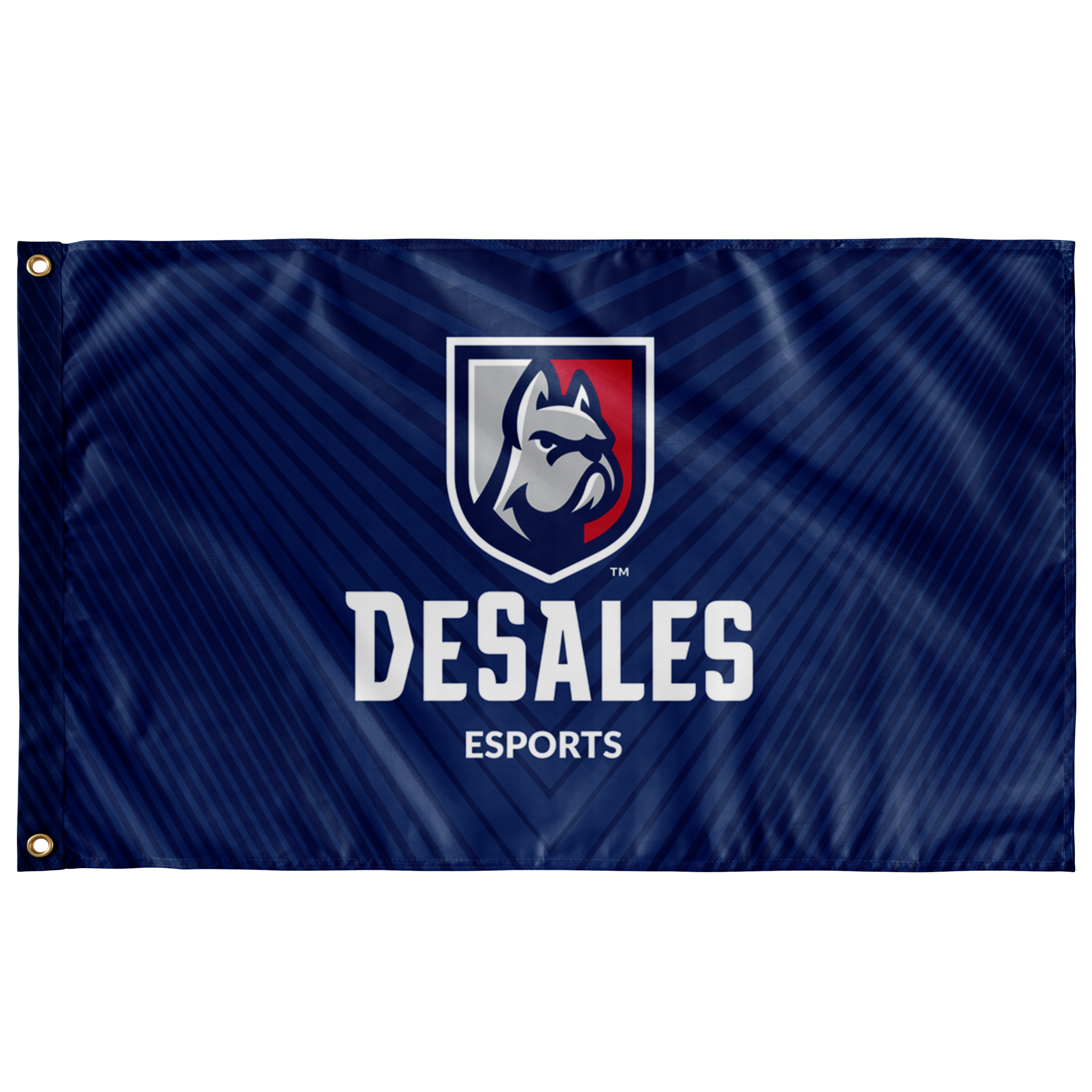 Desales Esports Flag