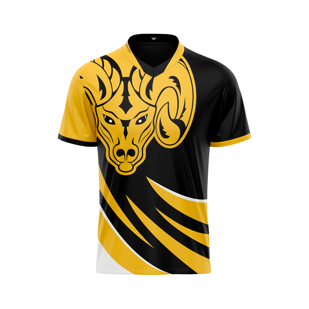 AITE Rams Jersey