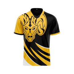 AITE Rams Jersey