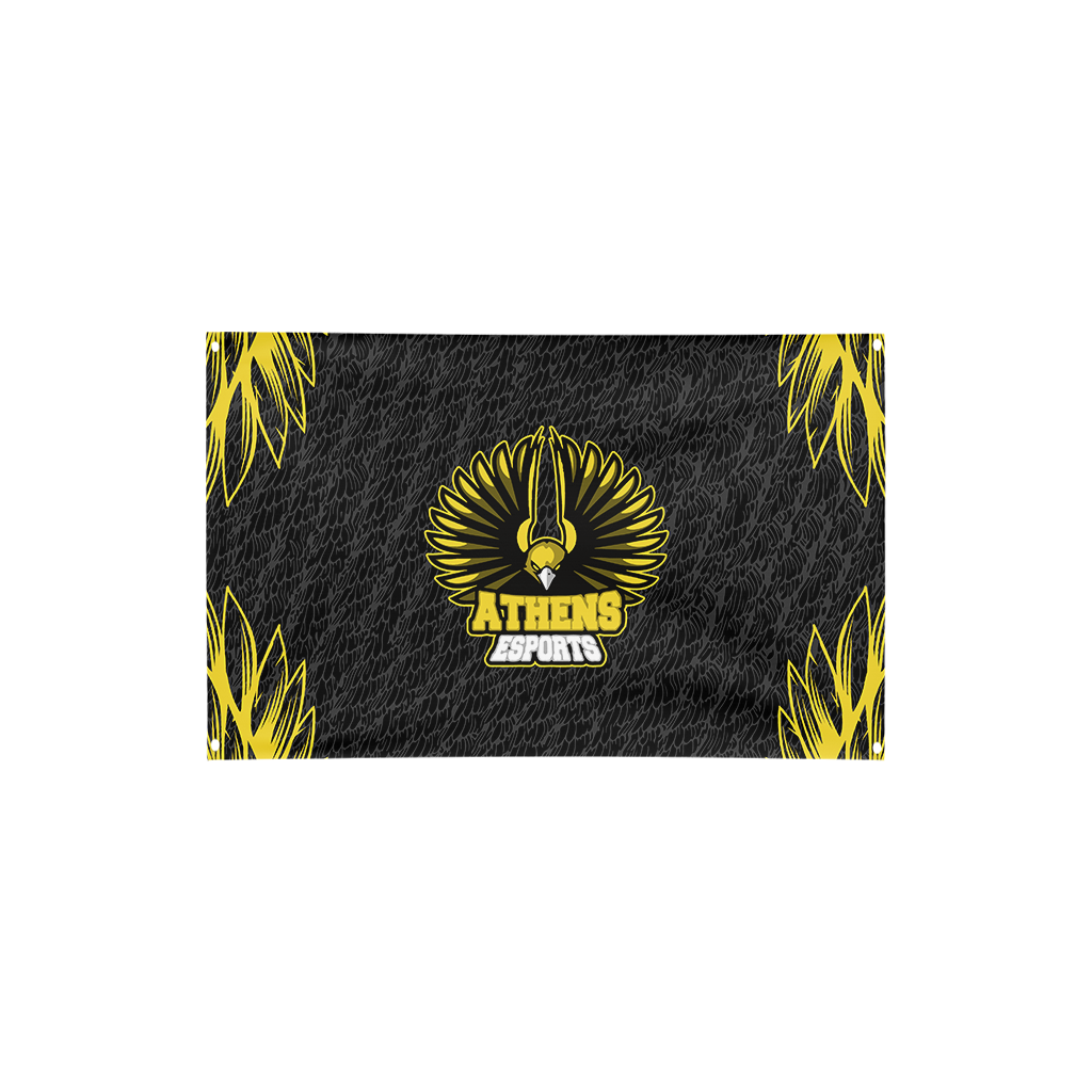 Athens City Public | Flag