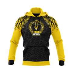 Athens City Public | Pullover Hoodie