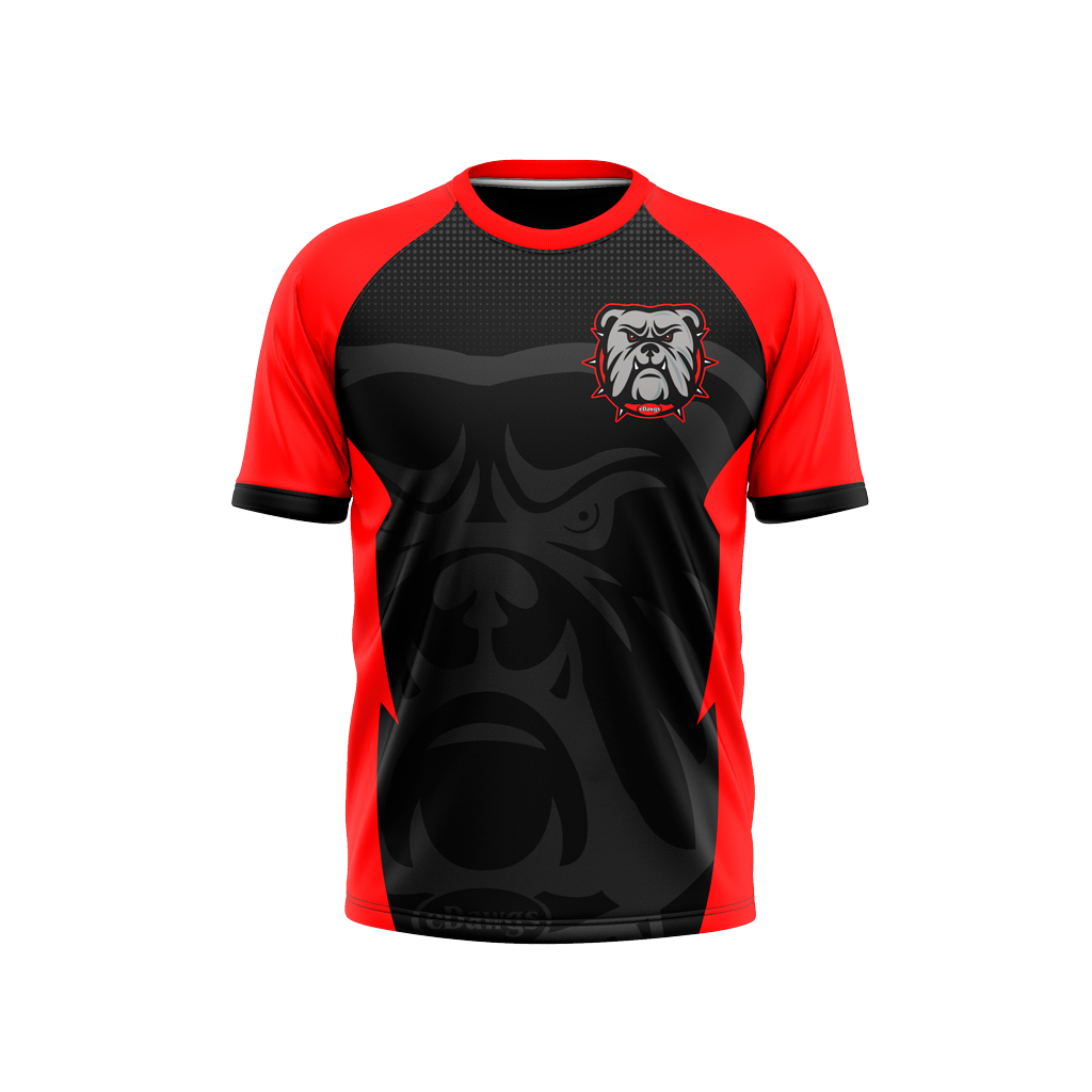 Auburn High School | Raglan T-Shirt