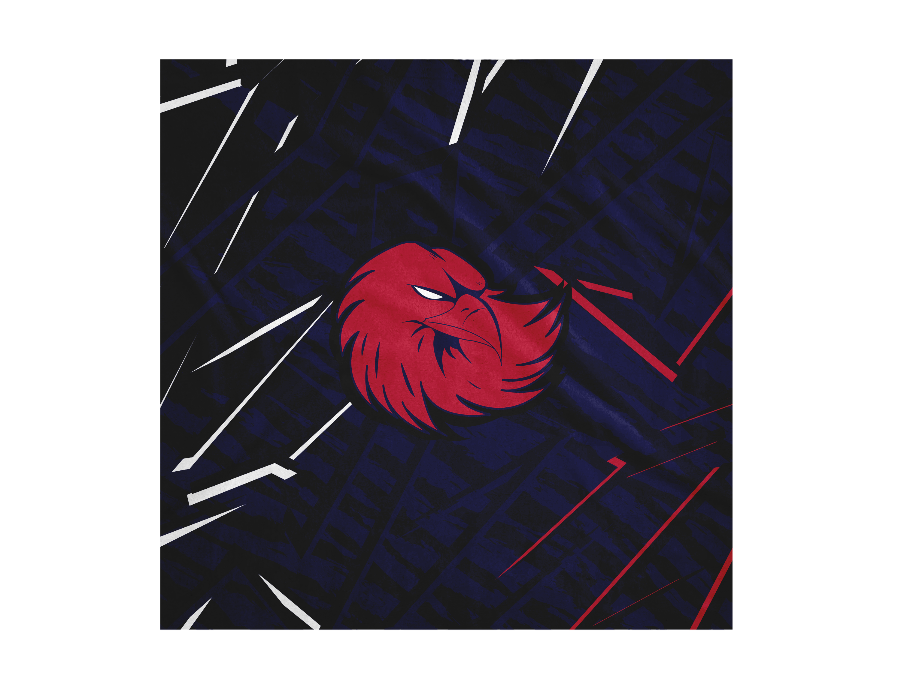 Lancaster High School | Sublimated | Blanket 60x60