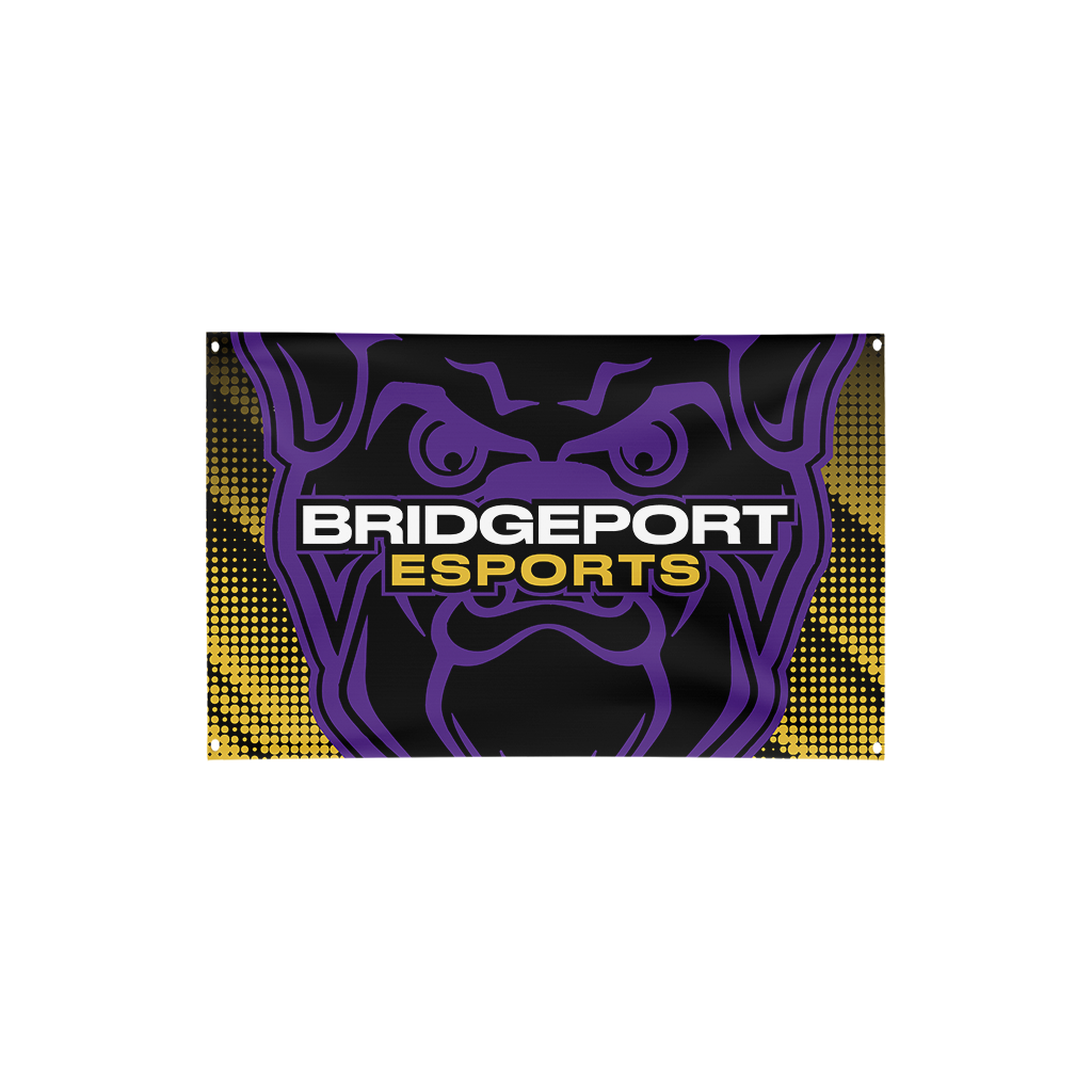 Bridgeport High School | Flag