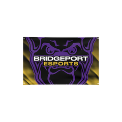 Bridgeport High School | Flag