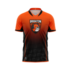Brighton High School | Jersey