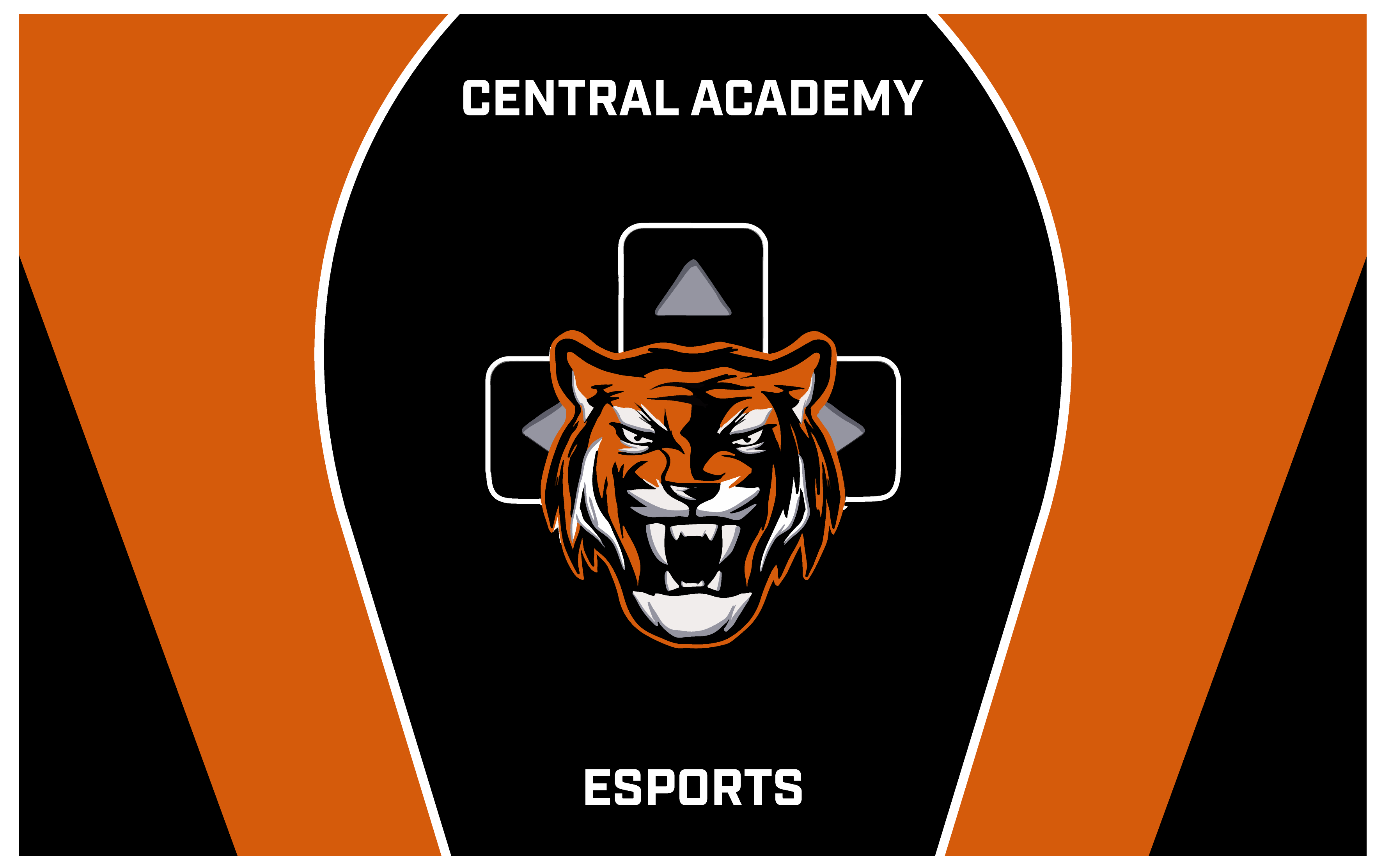Cape Central Academy Flag