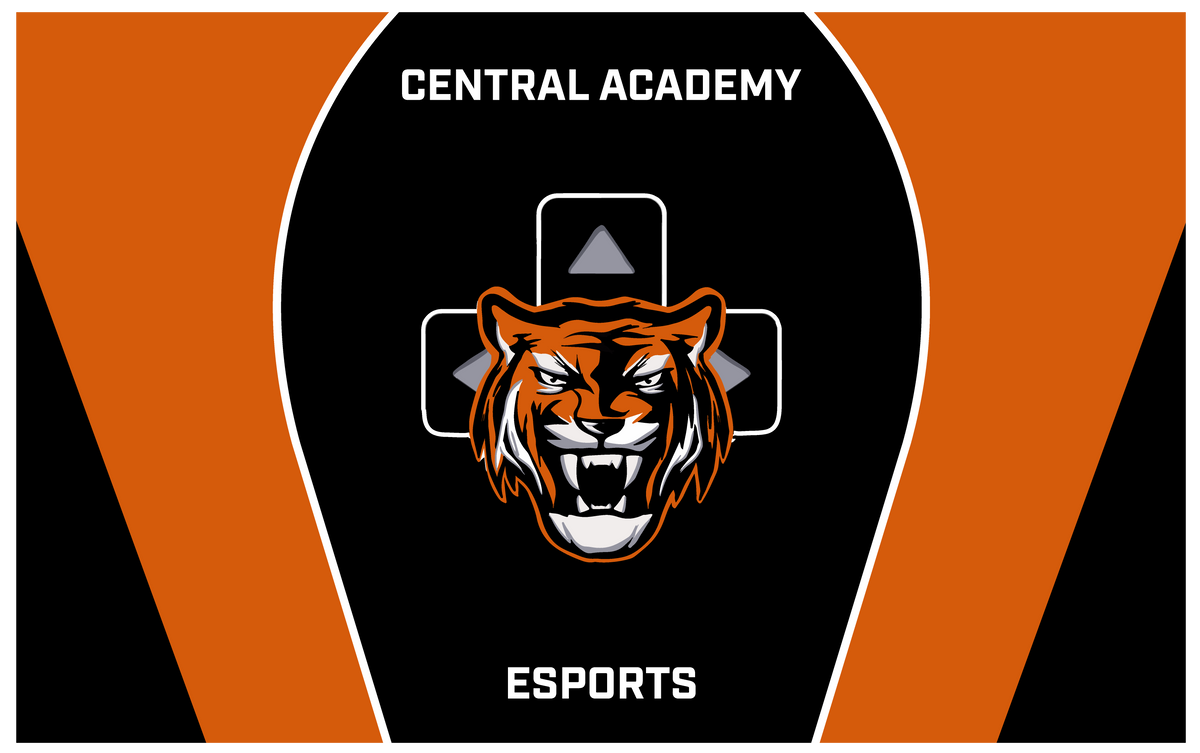 Cape Central Academy Flag