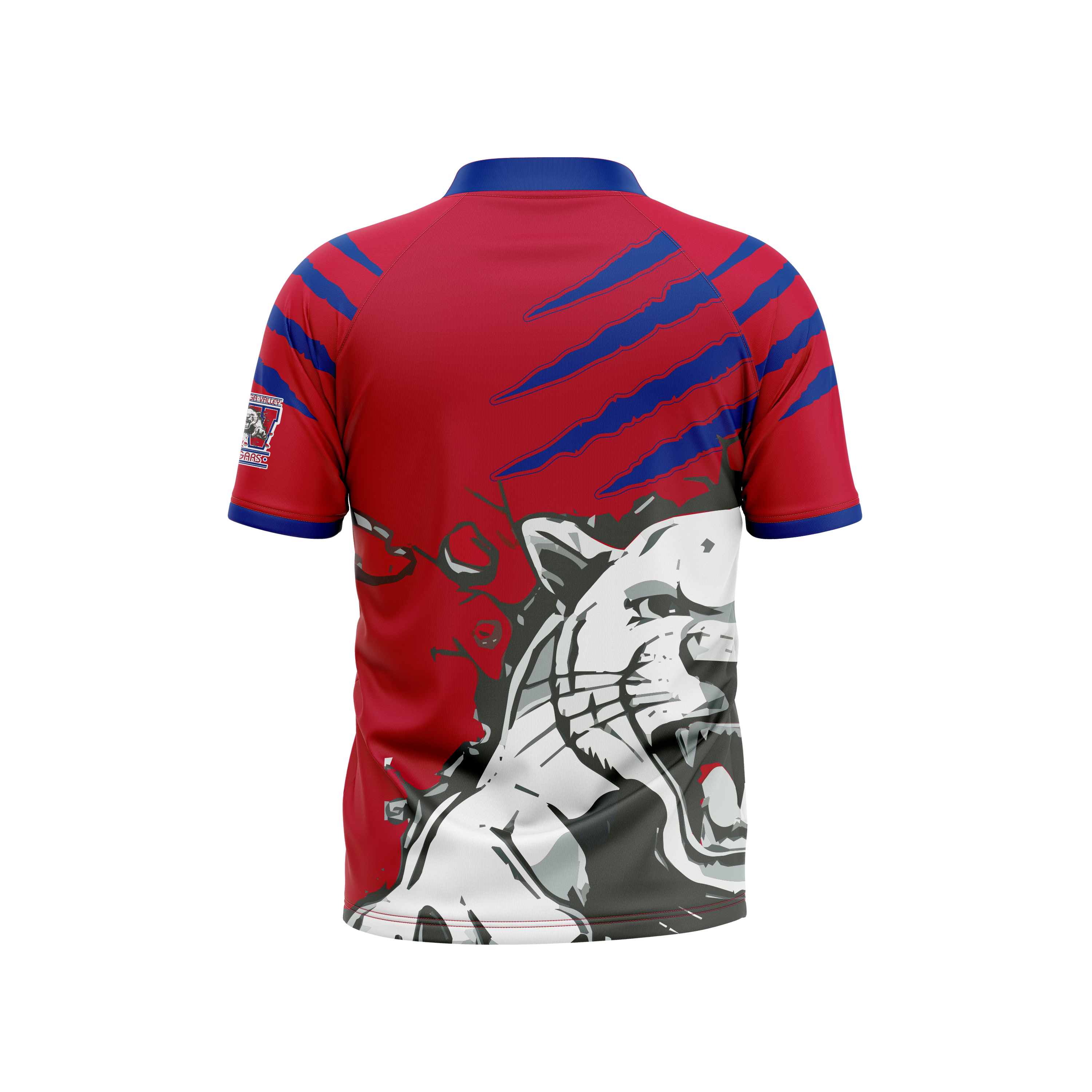 Cassadaga Valley Central Schools Jersey