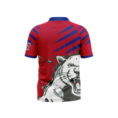 Cassadaga Valley Central Schools Jersey