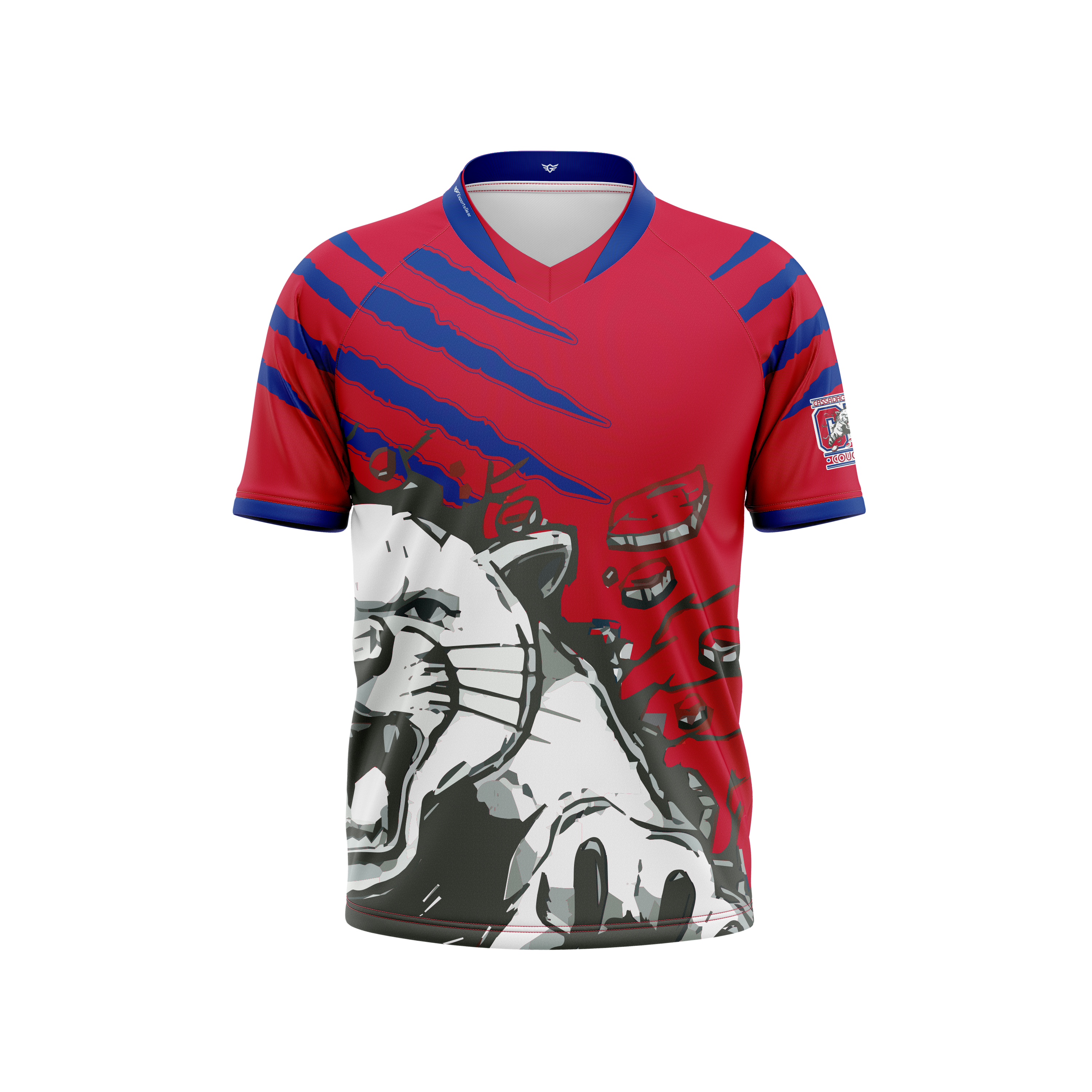 Cassadaga Valley Central Schools Jersey