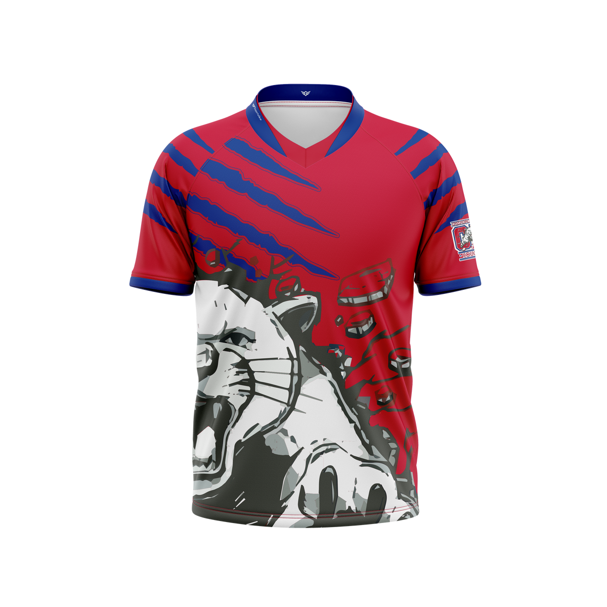 Cassadaga Valley Central Schools Jersey