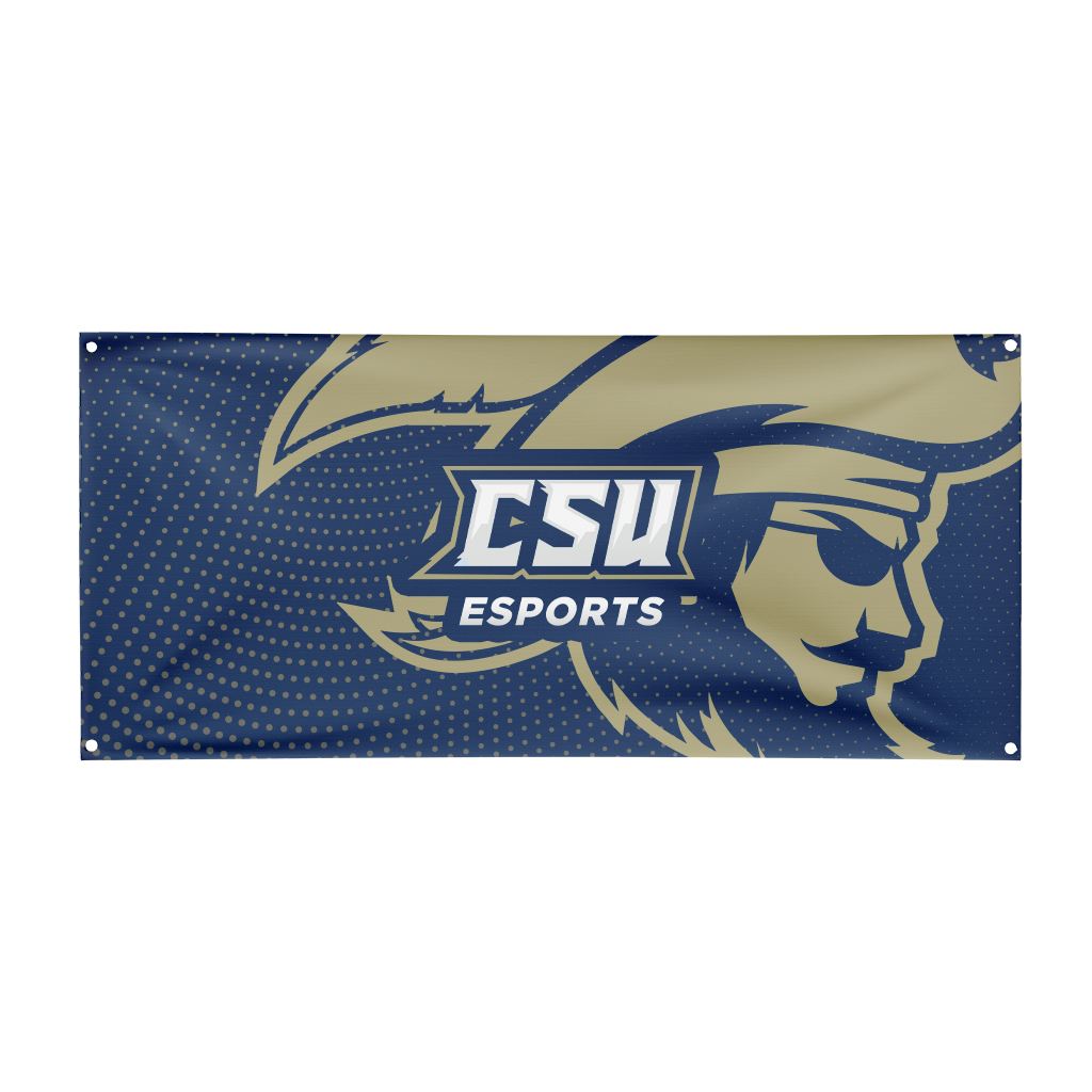 Csusb Flags Charleston Southern University | Sublimated | Flag – EsportsGear LLC
