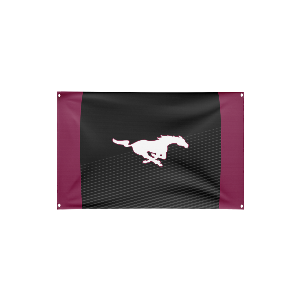Clifton High School | Flag