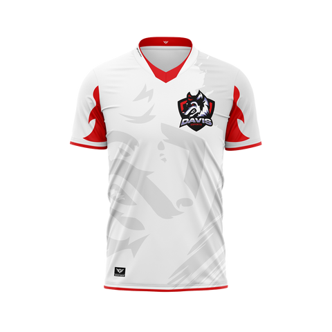 Davis Public Schools