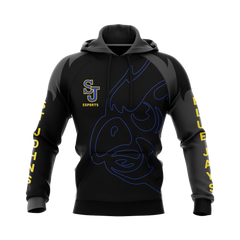 Delphos St Johns Pullover Hoodie Alt